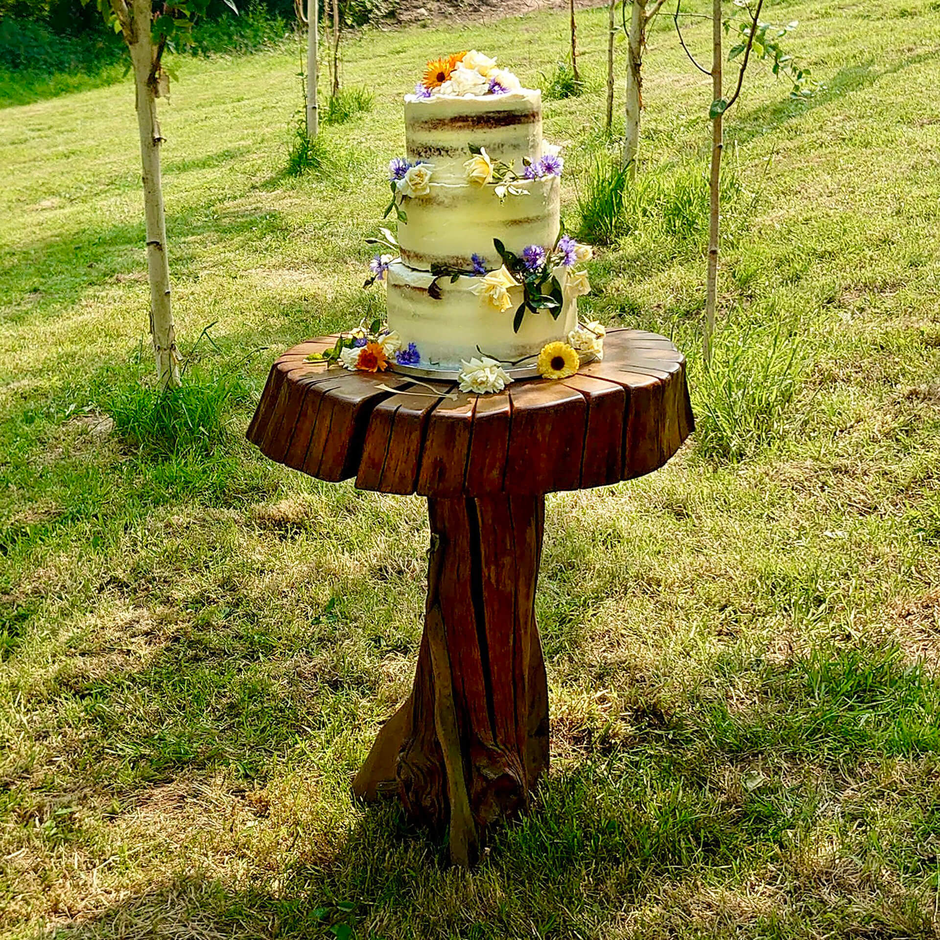 cake_-_wedding