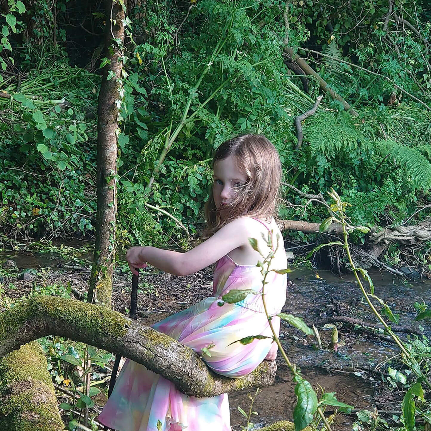 woodland_fairy_2
